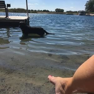 Meet your Posher, Dana